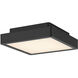 Patrol Q LED 9.29 inch Black Outdoor Ceiling Mount
